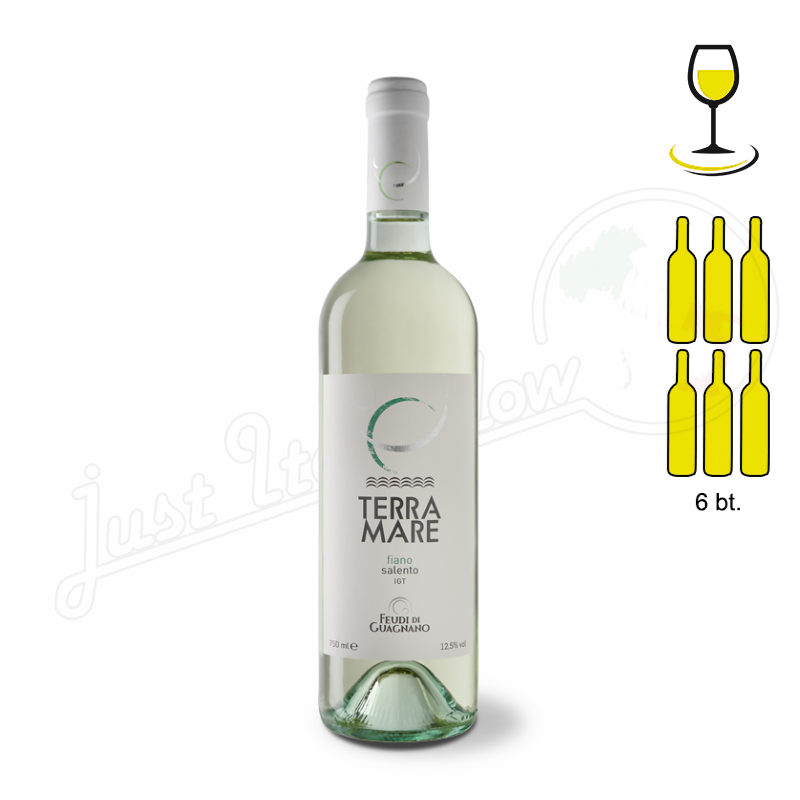 TERRAMARE FIANO SALENTO IGP - 6 bottle