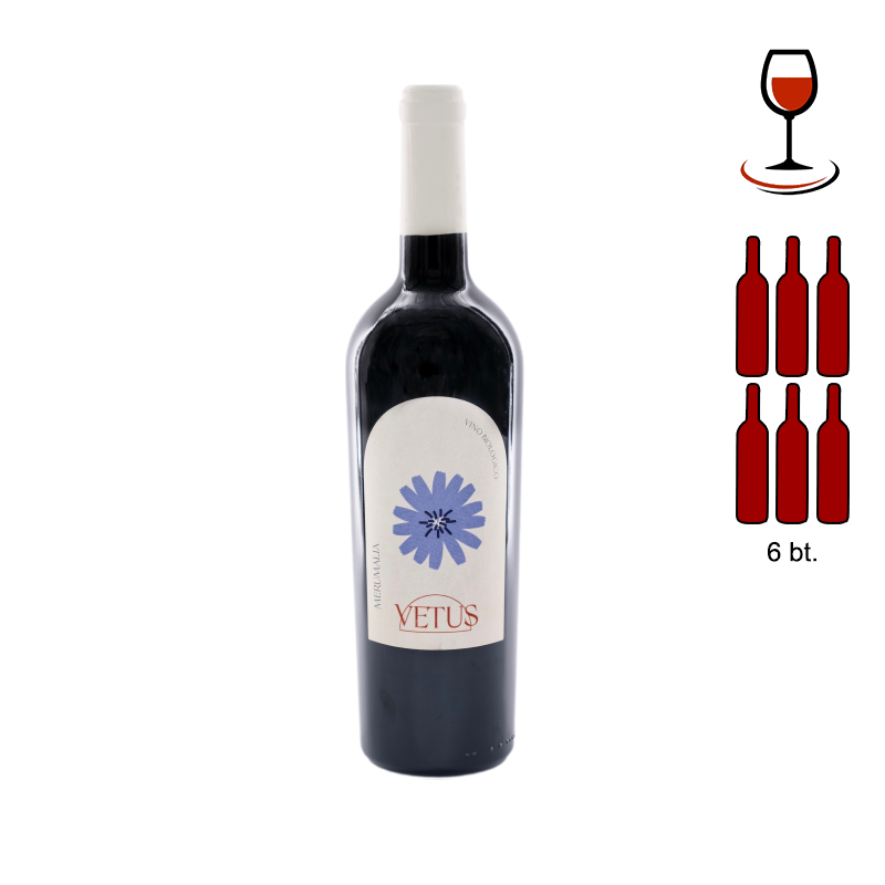VETUS ROMA DOC RED - 6 Bottle
