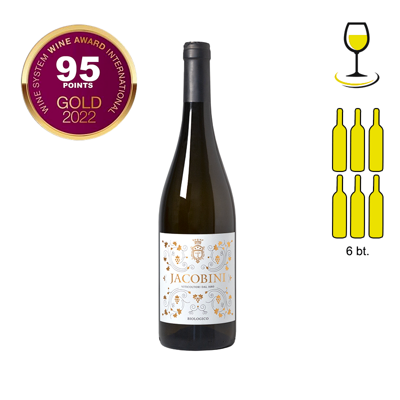 JACOBINI IGP Lazio 2022 - 6 Bottle