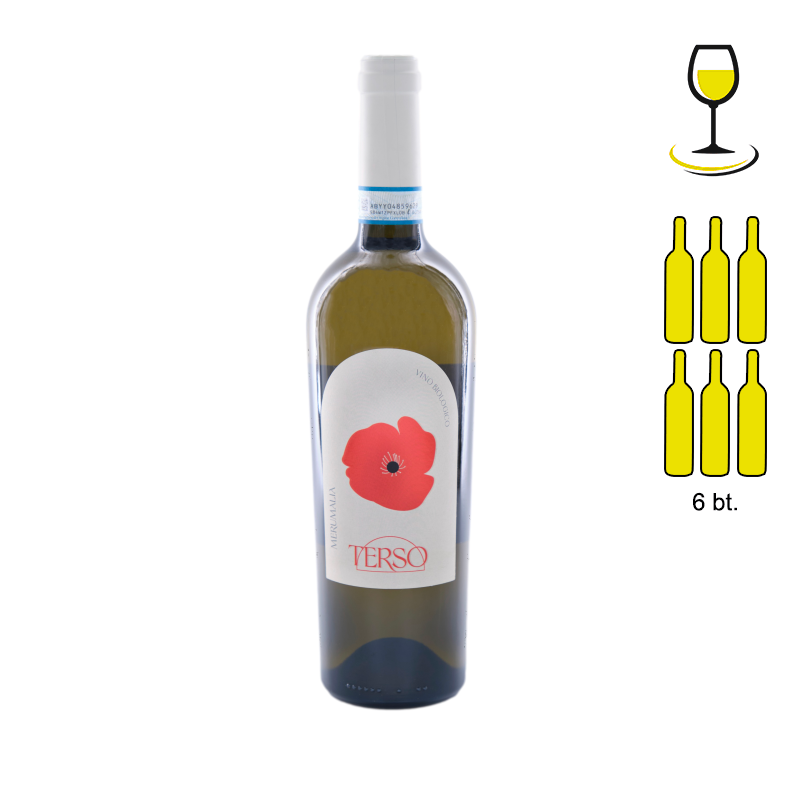 TERSO TERSO FRASCATI DOC WHITE - 6 Bottle