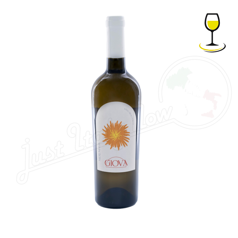 GIOVA GRECO IGP LAZIO WHITE - Merumalia