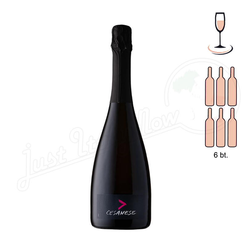 Spumante Brut Rosè Cesanese - 6 bottle