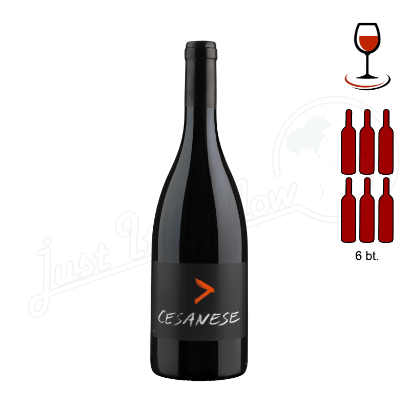 Cesanese Maggiore igt Lazio - 6 bottle