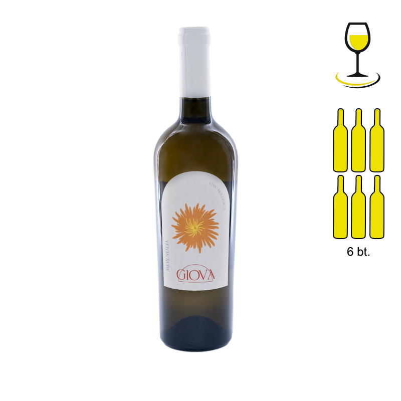GIOVA GRECO IGP LAZIO WHITE - 6 Bottle