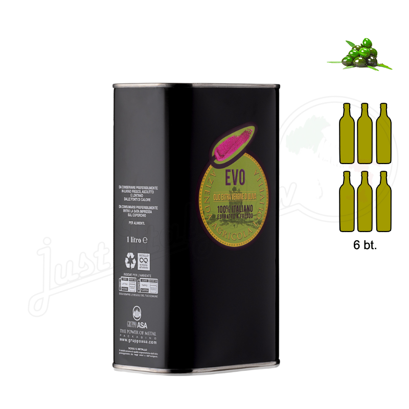Olio EVO 100% italiano 1 Lt - 6 tin